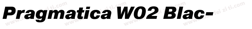 Pragmatica W02 Blac字体转换